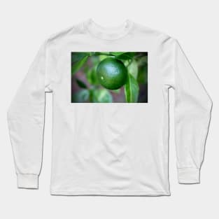 Cam Sanh Long Sleeve T-Shirt